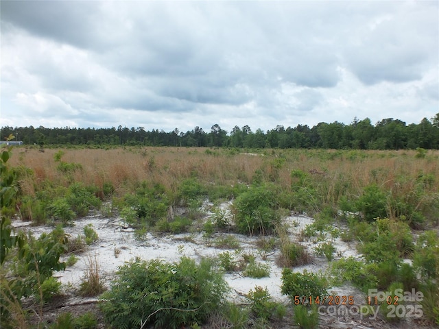 000 Oak Ridge Church Rd, Kershaw, SC 29067 - photo 2