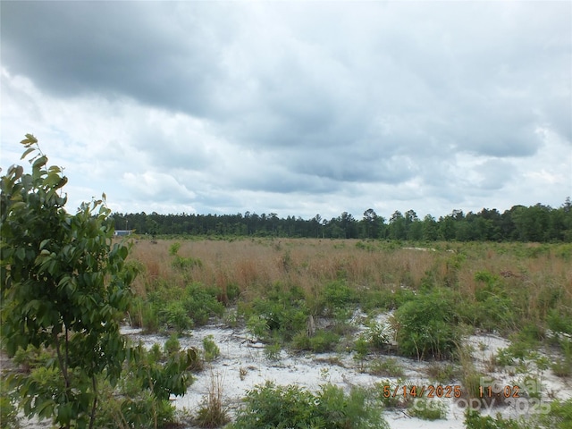 000 Oak Ridge Church Rd, Kershaw, SC 29067 - photo 3