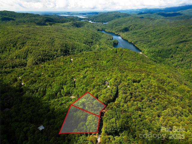 Lots15 Arrowhead Ridge Road 15&16, Brevard, NC 28712