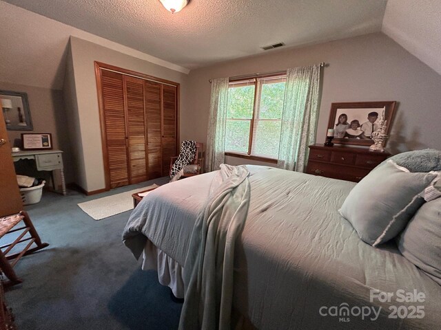 2815 Penny Park Dr, Gastonia, NC 28052 - bedroom with a closet, a textured ceiling, carpet floors, and vaulted ceiling