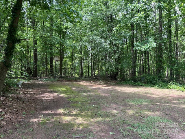 2815 Penny Park Dr, Gastonia, NC 28052 - view of tree filled area