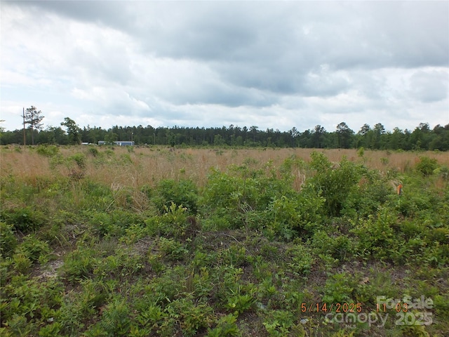 523 Oak Ridge Church Rd, Kershaw, SC 29067 - photo 1