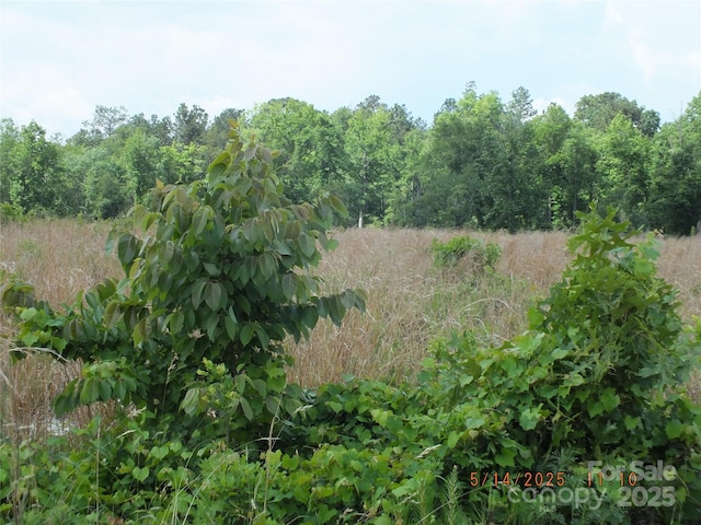 523 Oak Ridge Church Rd, Kershaw, SC 29067 - photo 3