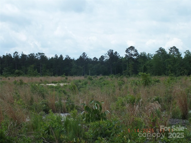 523 Oak Ridge Church Rd, Kershaw, SC 29067 - photo 6
