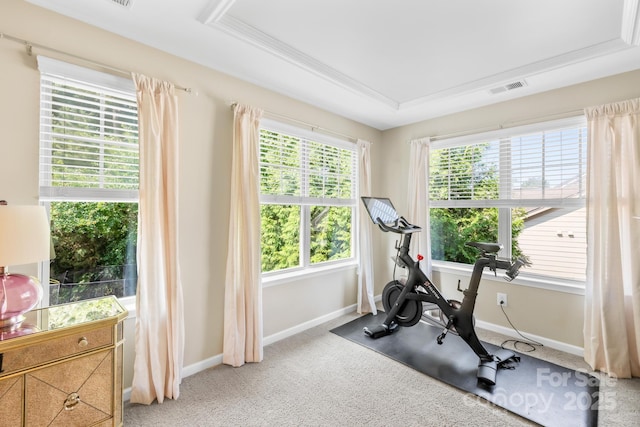 3918 Halcyon Dr, Huntersville, NC 28078 - exercise area featuring a raised ceiling, baseboards, and carpet flooring