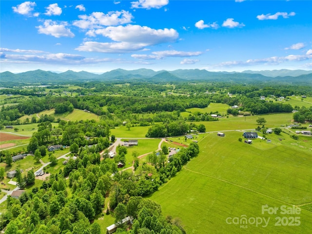 16 Julep Dr, Alexander, NC 28701 - view of rural area with a mountain backdrop