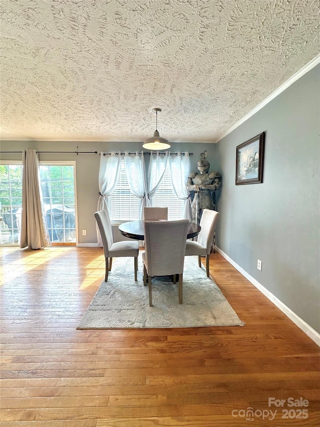 49 Perseverance Dr, Canton, NC 28716 - dining area featuring crown molding, a textured ceiling, baseboards, and wood finished floors