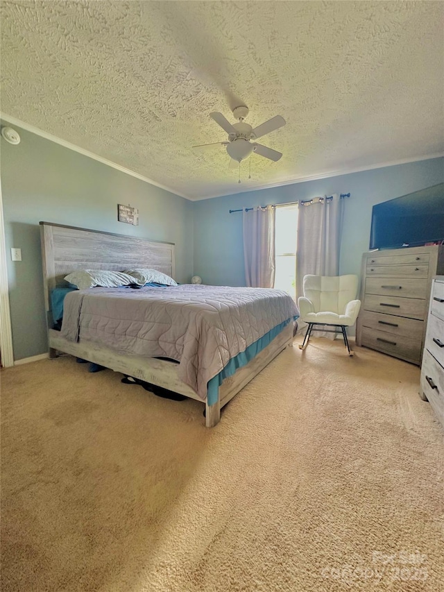 49 Perseverance Dr, Canton, NC 28716 - bedroom with carpet floors, a textured ceiling, and ceiling fan