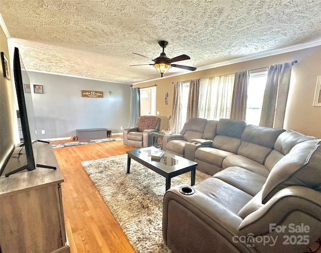 49 Perseverance Dr, Canton, NC 28716 - living room featuring ceiling fan, a textured ceiling, wood finished floors, ornamental molding, and baseboards