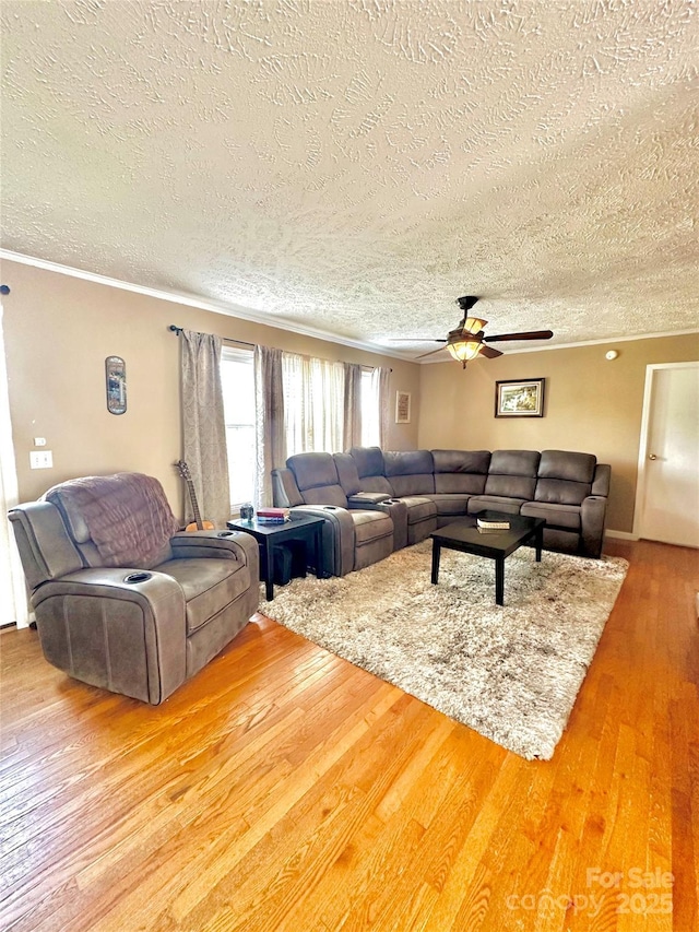 49 Perseverance Dr, Canton, NC 28716 - living room with a textured ceiling, ceiling fan, wood finished floors, and ornamental molding