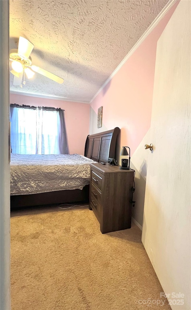 49 Perseverance Dr, Canton, NC 28716 - bedroom featuring ornamental molding, light colored carpet, a textured ceiling, and ceiling fan