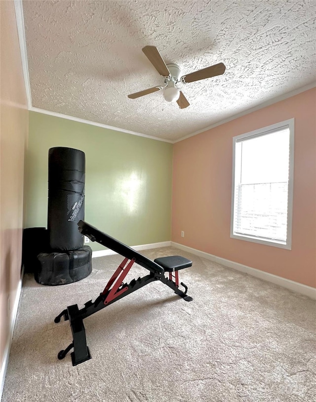 49 Perseverance Dr, Canton, NC 28716 - workout area featuring crown molding, a ceiling fan, a textured ceiling, carpet floors, and baseboards