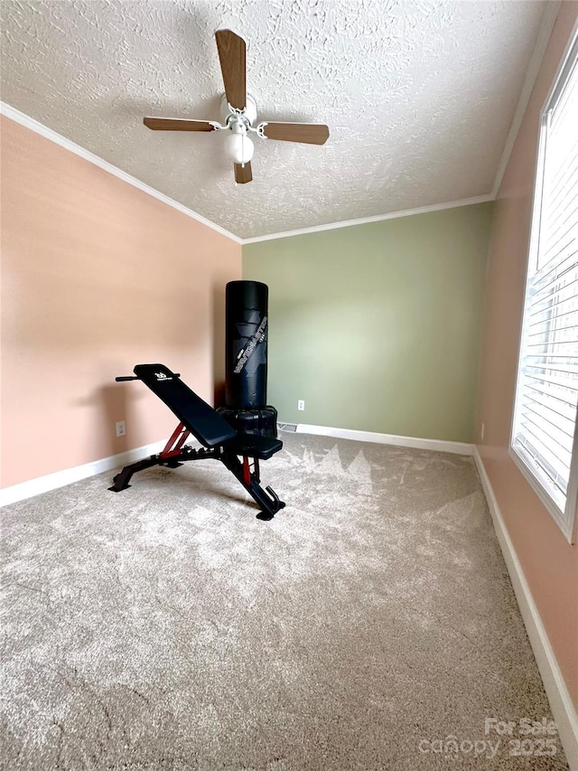 49 Perseverance Dr, Canton, NC 28716 - exercise area with plenty of natural light, carpet, a textured ceiling, a ceiling fan, and crown molding
