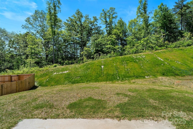 383 Ridgeview Ln, Mars Hill, NC 28754 - view of yard