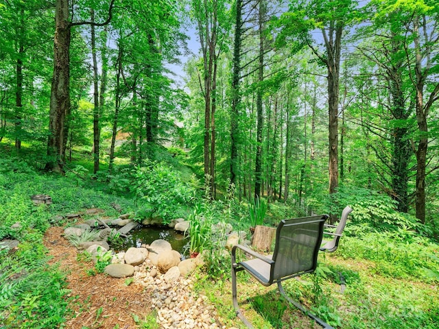 278 Mount View Dr, Burnsville, NC 28714 - photo 39