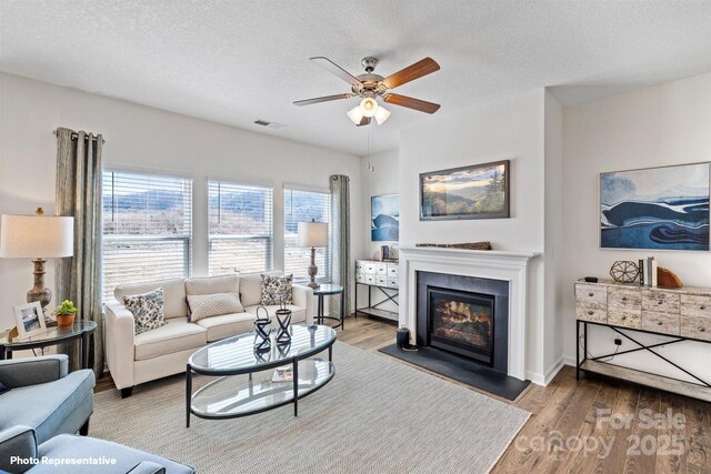 3735 13th St NE, Hickory, NC 28601 - living room with wood finished floors, a ceiling fan, a textured ceiling, and a glass covered fireplace