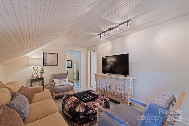 66 Fox Trot Ln, Tryon, NC 28782 - living room featuring lofted ceiling