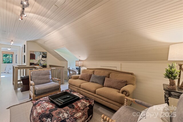 66 Fox Trot Ln, Tryon, NC 28782 - living area featuring rail lighting, wooden ceiling, and lofted ceiling