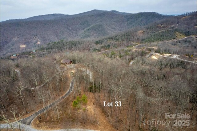 LOT33 Alarka Highlands Rd, Bryson City, NC 28713 - photo 7