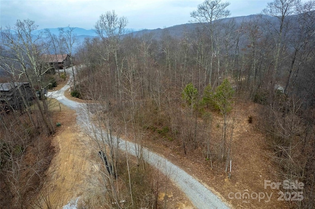 LOT33 Alarka Highlands Rd, Bryson City, NC 28713 - photo 9