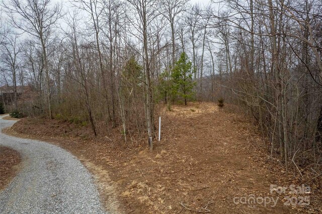 LOT33 Alarka Highlands Rd, Bryson City, NC 28713 - photo 10