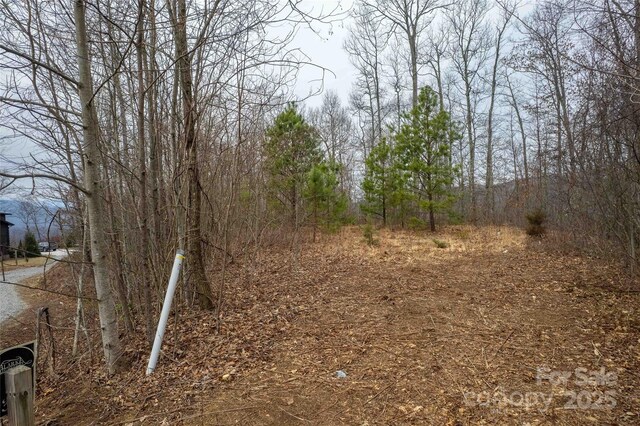 LOT33 Alarka Highlands Rd, Bryson City, NC 28713 - photo 11