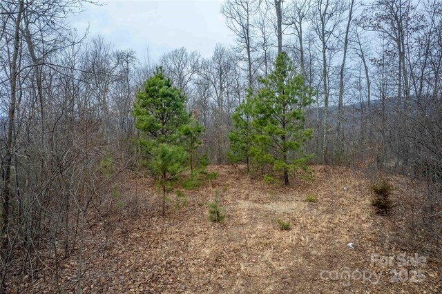 LOT33 Alarka Highlands Rd, Bryson City, NC 28713 - photo 12