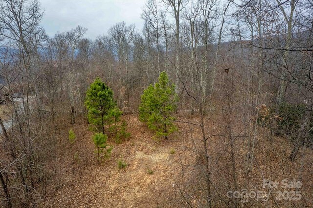 LOT33 Alarka Highlands Rd, Bryson City, NC 28713 - photo 13
