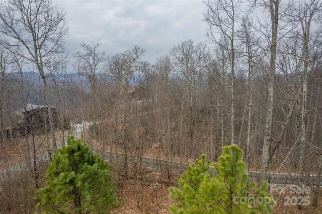 LOT33 Alarka Highlands Rd, Bryson City, NC 28713 - photo 15