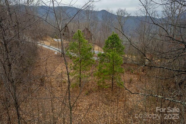 LOT33 Alarka Highlands Rd, Bryson City, NC 28713 - photo 16
