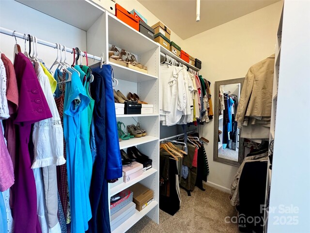 16012 Caranna Ct, Charlotte, NC 28277 - spacious closet with carpet floors