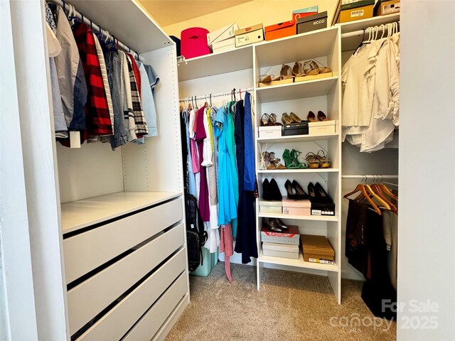 16012 Caranna Ct, Charlotte, NC 28277 - spacious closet with light colored carpet