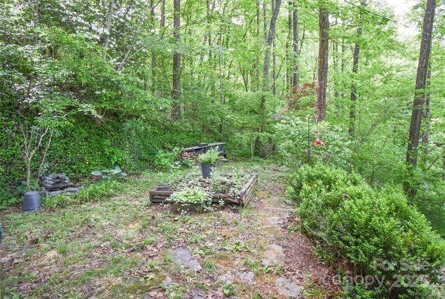 40 Bear Cove Cir, Bryson City, NC 28713 - photo 28