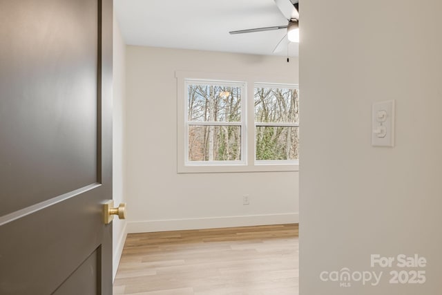 7 Angus Ln, Asheville, NC 28805 - photo 23