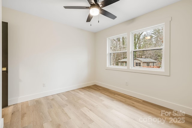 7 Angus Ln, Asheville, NC 28805 - photo 25