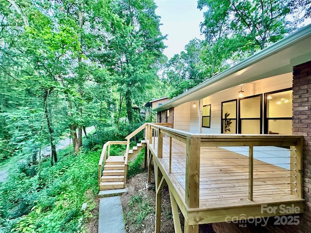 7 Angus Ln, Asheville, NC 28805 - photo 39