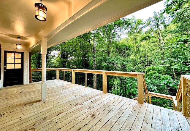 7 Angus Ln, Asheville, NC 28805 - photo 41