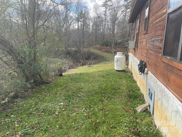 36 Luther Franklin Ln, Newland, NC 28657 - view of green lawn