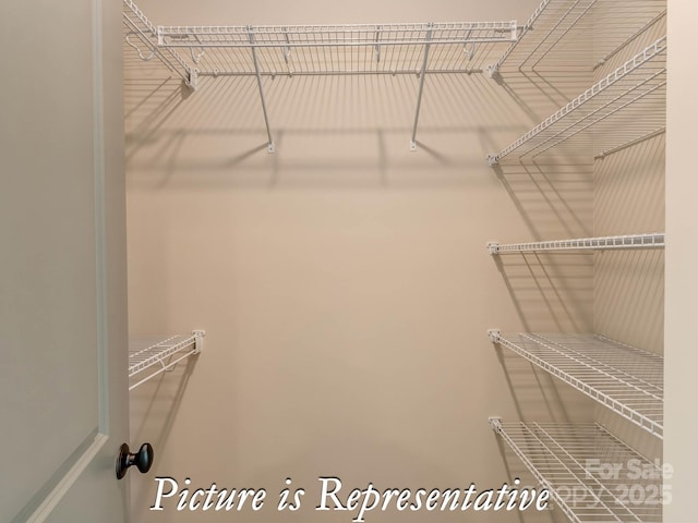 3439 Stags Leap Way, York, SC 29745 - view of spacious closet