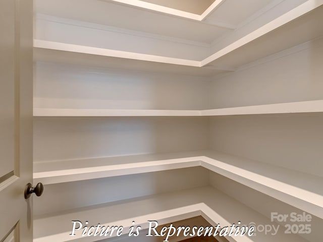 3439 Stags Leap Way, York, SC 29745 - view of pantry