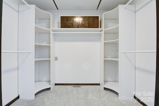467 16th Ave NW, Hickory, NC 28601 - walk in closet with carpet flooring