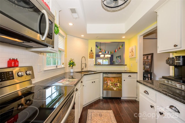 9239 N Vicksburg Park Ct, Charlotte, NC 28210 - kitchen with stainless steel appliances, a sink, dark wood-style floors, tasteful backsplash, and recessed lighting
