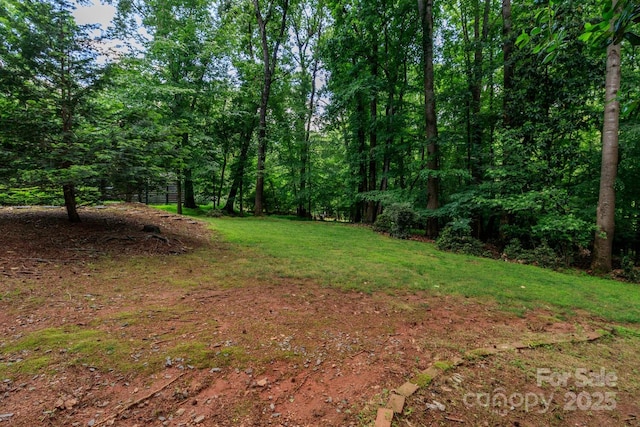 6119 Bittersweet Ln, Charlotte, NC 28270 - view of green lawn