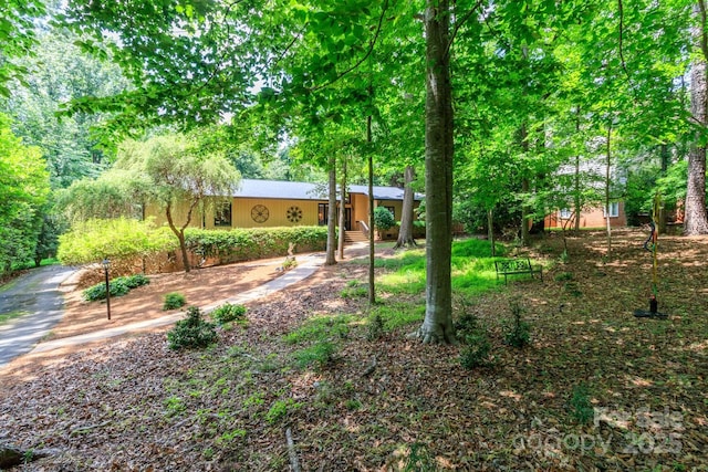 6119 Bittersweet Ln, Charlotte, NC 28270 - view of yard