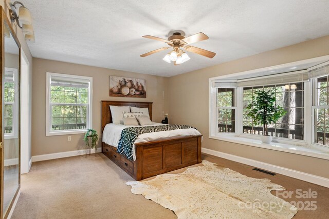 55 Vintage Rd, Candler, NC 28715 - photo 16