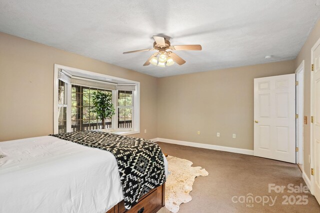 55 Vintage Rd, Candler, NC 28715 - photo 17
