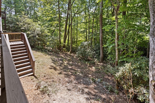 55 Vintage Rd, Candler, NC 28715 - photo 40
