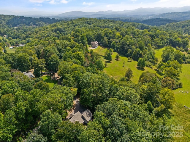 55 Vintage Rd, Candler, NC 28715 - photo 44