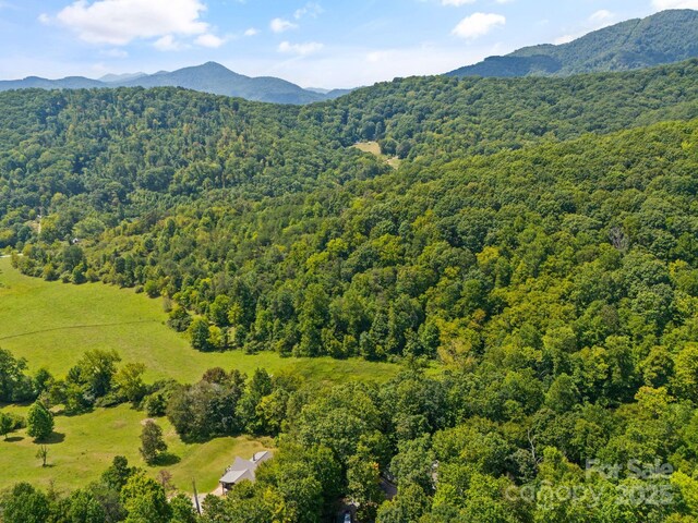 55 Vintage Rd, Candler, NC 28715 - photo 45
