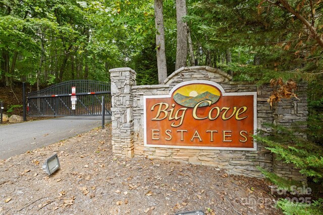 55 Vintage Rd, Candler, NC 28715 - photo 46